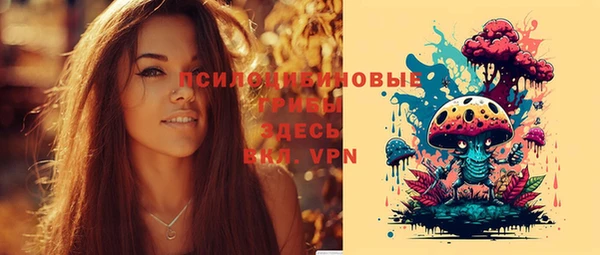 Альфа ПВП Баксан