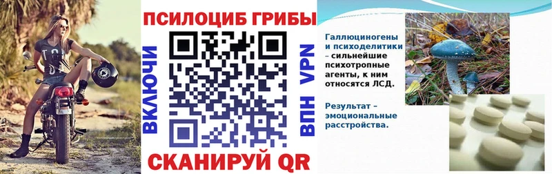 наркотики  МЕГА   Галлюциногенные грибы Psilocybe  Североуральск 